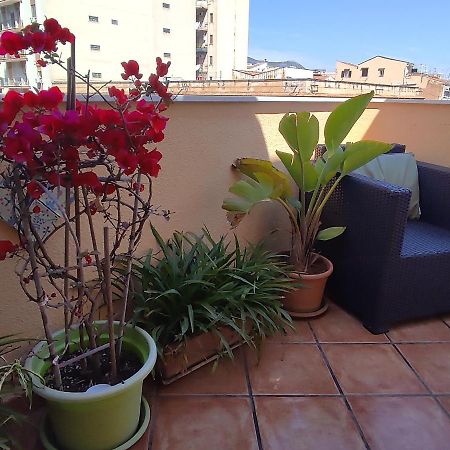 팔레르모 Attico Finocchiaro - Terrazza In Centro Wifi Free 아파트 외부 사진